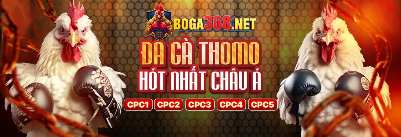 Sân chơi Đá Gà trực tuyến kịch tính tại tải vf88