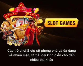 Hỗ trợ khách hàng VF88